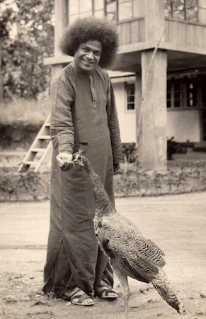 Beloved Bhagawan Sri Sathya Sai Baba